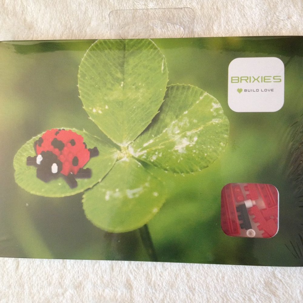 Brixies  Ladybug Postcard Building Kit